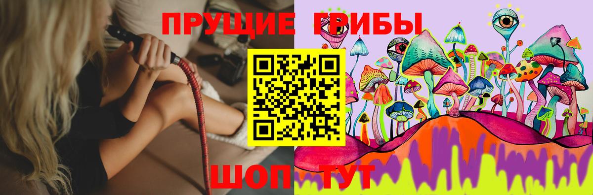 что такое   Вход с VPN  Таганрог  Псилоцибиновые грибы прущие грибы  Галлюциногенные грибы Psilocybine cubensis 